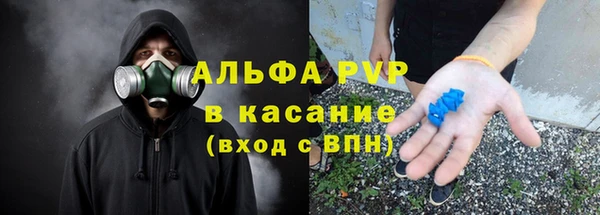 гидра Арсеньев
