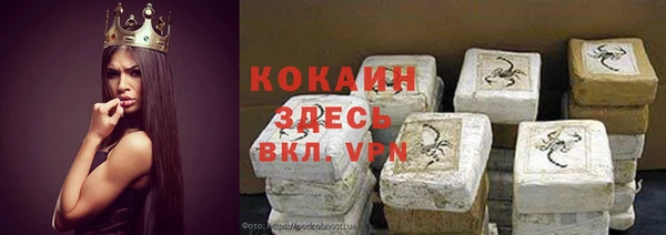 гидра Арсеньев