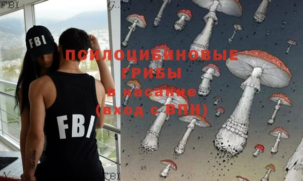 гидра Арсеньев